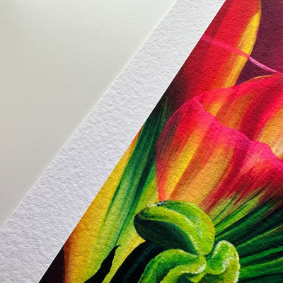 Detail of Canson Arches Aquarelle paper texture